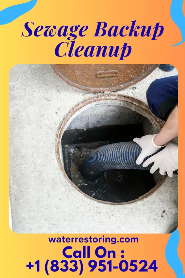 Sewage Backup Cleanup in Valley Stream, NY